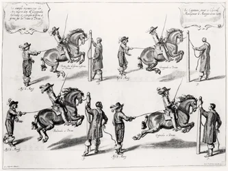 Ilustración de un Manual de Equitación, grabado por Peeter Clouwet (1629-70), 1658