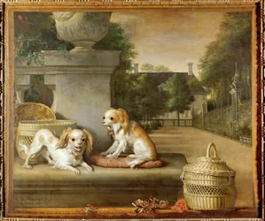 Dos perros en un parque, cestas para perros y una casa de campo
