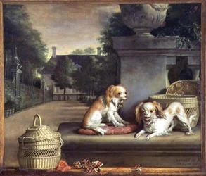 Dos Perros en un Parque