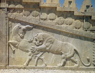 León luchando con un toro, relieve en la escalinata oriental de la Apadana, periodo aqueménida, hacia 515
