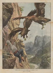 Audaz caza de un nido de águilas en una grieta de rocas