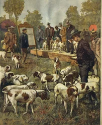 Exposición canina y pruebas de campo de perros de caza en San Siro (Milán), por Achille Beltrame, de La Domenica del Corriere, 2 de julio de 1899