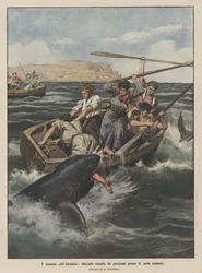 Los dramas del Adriático, niñas atacadas por tiburones cerca de las costas dálmatas