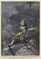 En plena selva india, un hombre espera el tren cerca de la línea ferroviaria