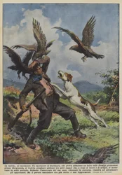 La caza al cazador