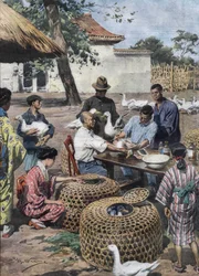 Jardín del Palacio Imperial de Tokio: vacunación y asistencia veterinaria para los patos con el fin de protegerlos del cólera. Ilustración de Achille Beltrame de 1928.