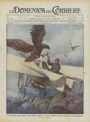 Un hecho sin precedentes, aviador francés atacado por un águila a 2000 metros de altura