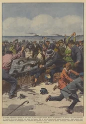 Un pulpo gigantesco expuesto en una playa cerca de Tolón