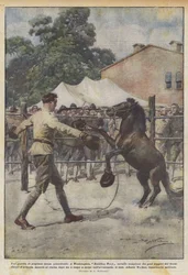 Una pelea de boxeo sin precedentes, en Washington, Battling Tony caballo campeón de los pesos