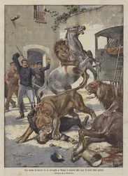 Una escena de terror en un serrallo en Moscú tras la fuga de leones de la jaula