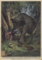 Una tragedia en la jungla africana
