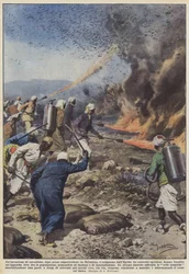 Una invasión de langostas, después de haber azotado Palestina, ha aparecido en Egipto