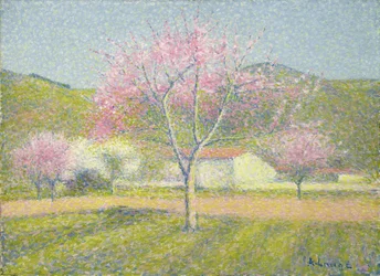 Un huerto en primavera, manzanos en flor, c.1920-29 (óleo sobre algodón)