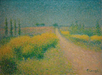 El camino de las retamas