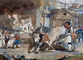Carnicero, por Achille Pinelli, dibujo en acuarela, Italia