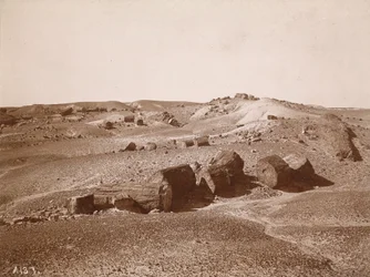 En el Bosque Petrificado (Vista general, Middle Park),c.1895-1897 (foto)