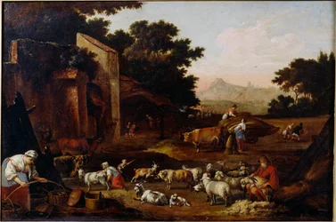 Esquila de ovejas