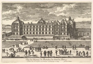Vista del Castillo de Richelieu desde el Lado del Parque