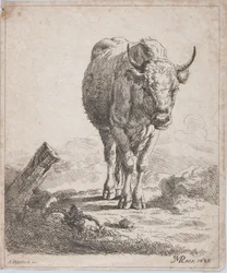 Una vaca, vista desde el frente, 1805