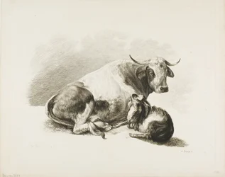 Pieza Animal