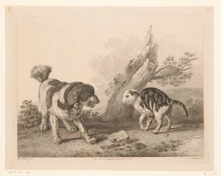 Perro y gato en posición de pelea uno contra el otro Animales según pinturas de maestros holandeses (título de la serie) Différens animaux graves d
