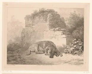 Perro durmiendo frente a una pared Animales según pinturas de maestros holandeses (título de la serie) Différens animaux graves d