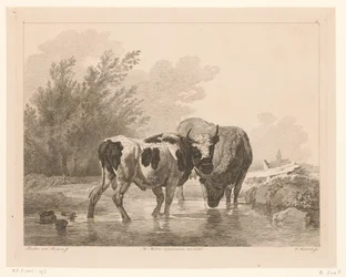 Dos vacas en un arroyo Animales según pinturas de maestros holandeses (título de la serie) Différens animaux graves d