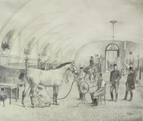 Las caballerizas reales: aseo matutino