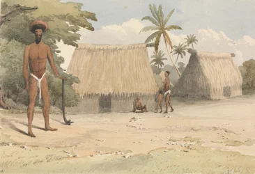 Feejee hair-dressing; de uno de los hijos menores de Tanoa, 7 de octubre de 1849 [Fiji]
