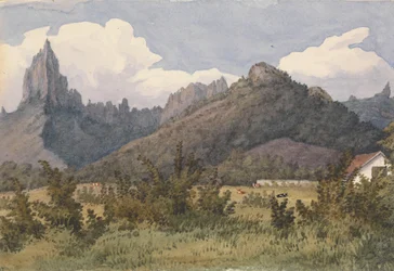 En Eimeo [Moorea, Islas de la Sociedad], 27 de agosto de 1849.