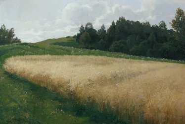 el campo de avena