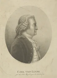 Retrato de Carl Linnaeus 1707-1778