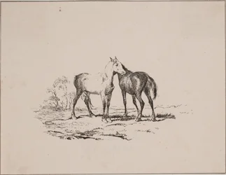 Los dos caballos
