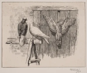 Las palomas