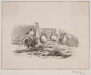 Gallo