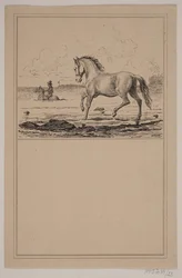 El caballo en el agua. N.º 22 en Chr. Winther y M. Rørbye, "25 Imágenes para niños pequeños"
