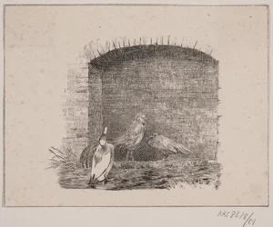 Las gallinas y los patos