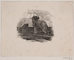 El caniche