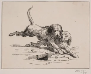 La pelea