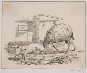 El carnero y el cerdo