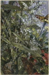 Flores con una mariposa y un caracol. Del «Álbum infantil»