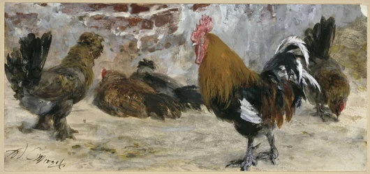 El gallo y las gallinas. Del «Álbum infantil»