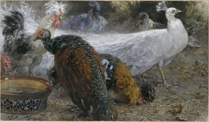 El pavo real blanco con pava y gallinas. Del "Álbum infantil"
