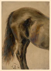Parte trasera de un caballo de perfil