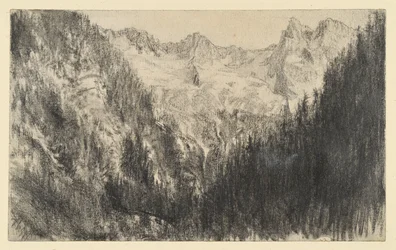 Alta montaña con bosque de abetos en primer plano
