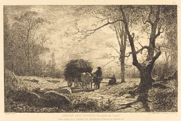 Camino de las rocas