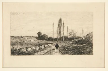 Sendero en el borde de