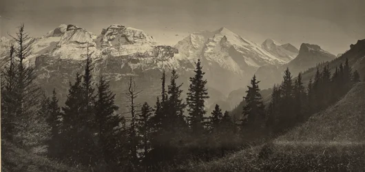 [Paisaje alpino]