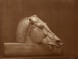 [Cabeza de caballo del frontón del Partenón, Museo Británico]