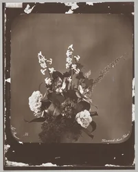 Sin título (arreglo floral)